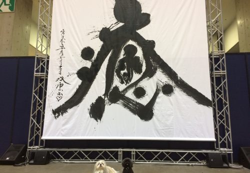 癒しフェア2017 in TOKYO